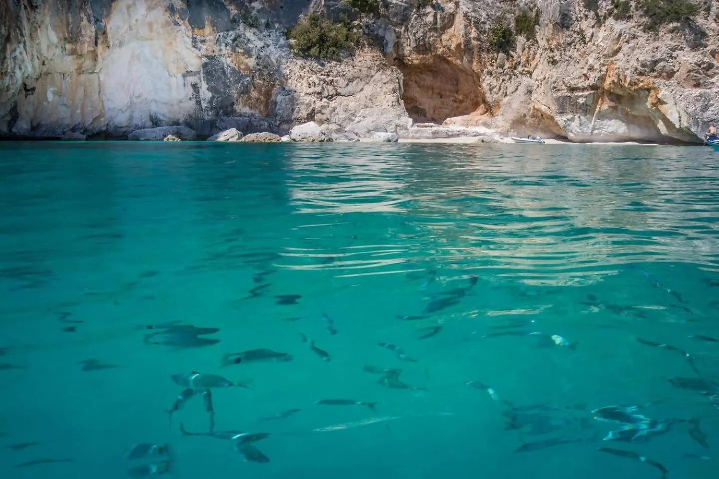 Conchiglia Sud Lejlighed Cala Gonone